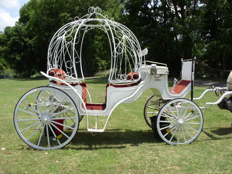 The Cinderella